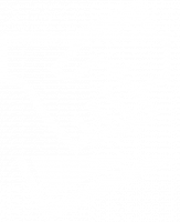 icones-02.png icones-02.png